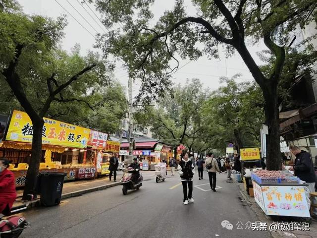 【西安游学之五】城市骑行:盛唐光影与市井烟火的交响