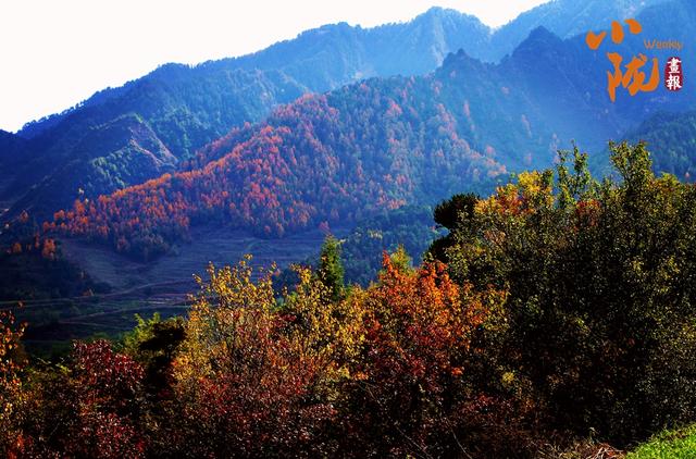 【小陇画报·437期】初冬，礼县美的像“油画世界”