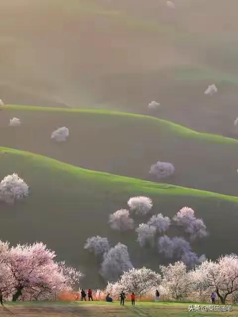 性与命和寿的关系：好命长寿的男人，往往身上有这七种特征