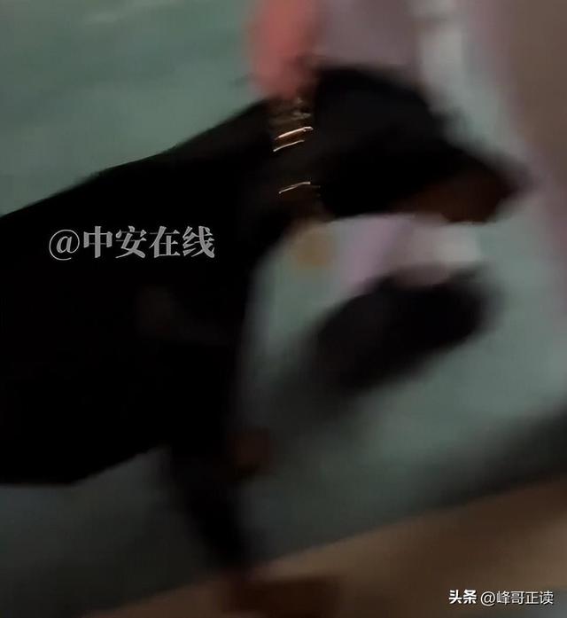丹阳杜宾犬最新后续：网友不满处理依旧炸锅，养狗人终于登门道歉