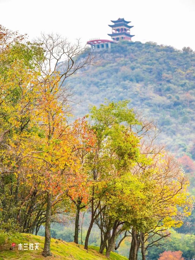 爆肝整理！黄陂登山徒步路线推荐！