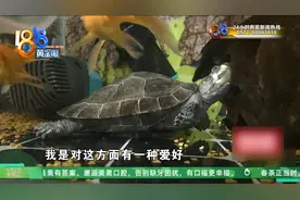 凌晨时分，他被宠物猫咬醒，发现水族箱都快沸腾了图片