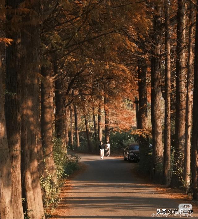 冬日信阳，独具魅力！