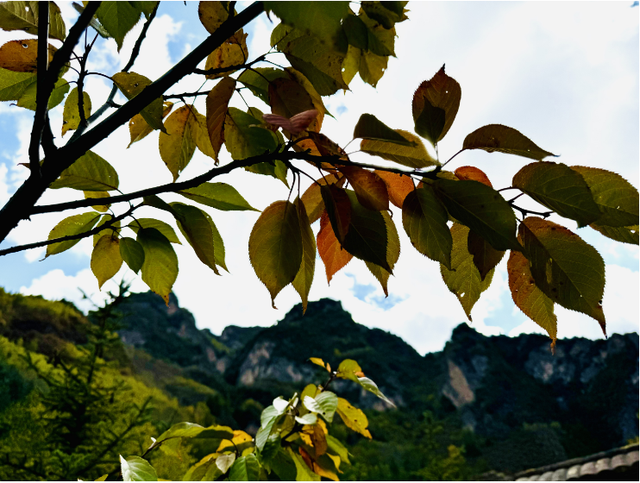 这么好看，不愧是遮阳山的秋天！
