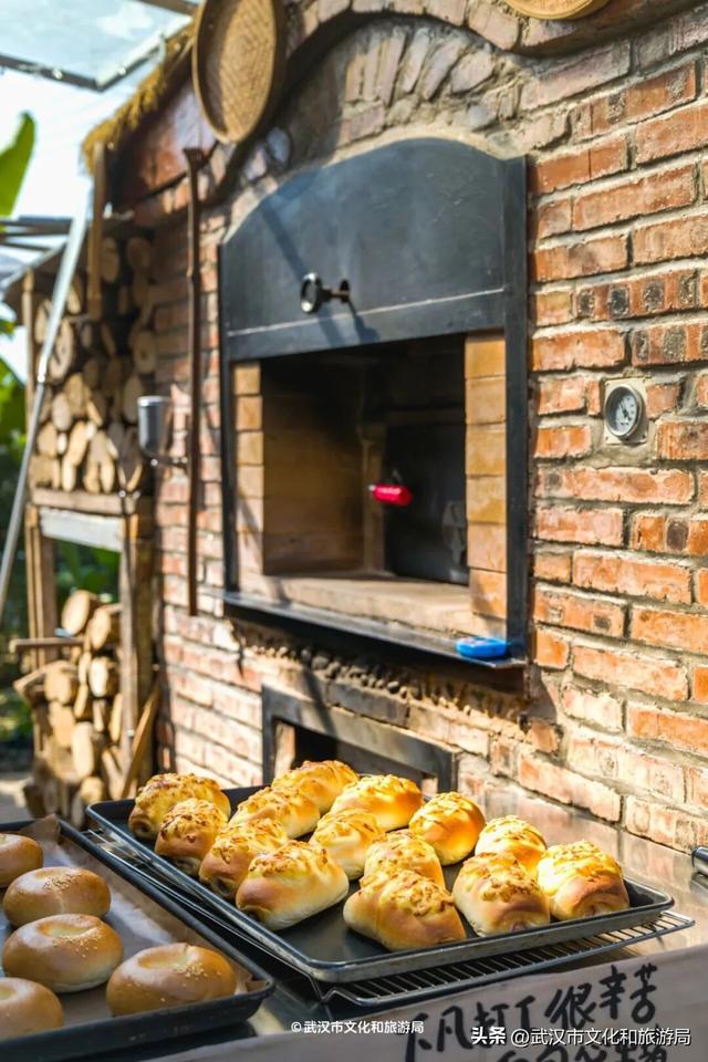 赶紧收藏！森林公园3大玩法新鲜出炉