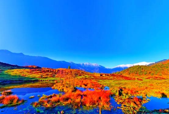 乐山文旅瞄准国际赛道：深挖特色产业打造文旅增长极