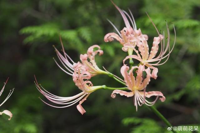 今日情感文章：如果有人心疼你的坚强，那一定是把你爱到了骨子里