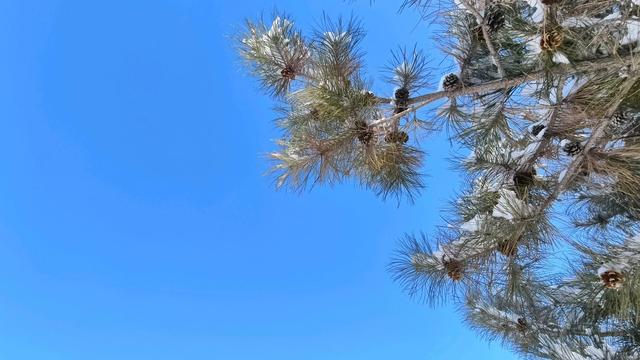 雪染古浪 一城素韵