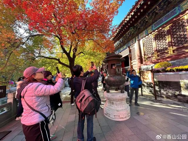 现在，香山“秋日皮肤”已加载85%！来查收