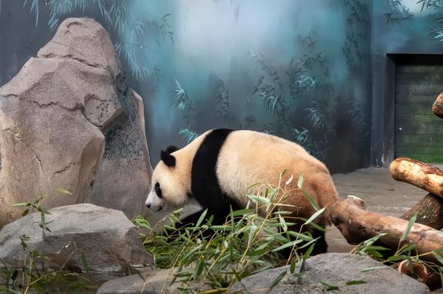 《疯狂动物城》苏州分“城”来啦！