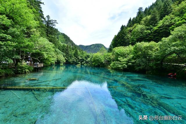 九寨沟：梦幻海子，人间绝色（图）