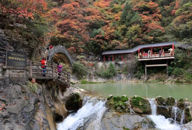 这才是秋天该有的样子~