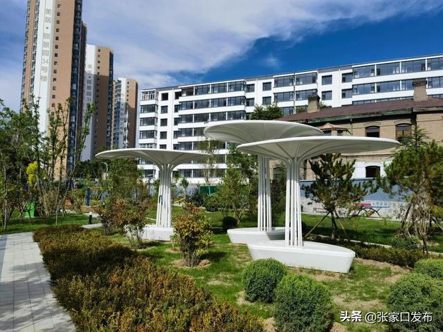 感受家门口的“诗与远方”——“双节”期间张家口城市绿色漫游指南