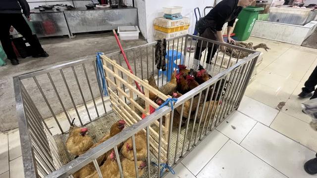 轨道直达的赶场地！地方超大，东西多，买菜这些超方便