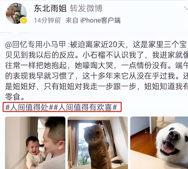 复出无望？东北雨姐再被点名，监管局重拳出击，网友：辛巴跑挺快