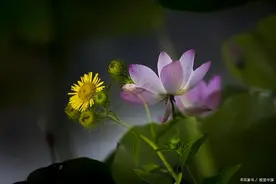 杜牧著名的十首七言诗，首首经典，最后一首更是催人上进图片