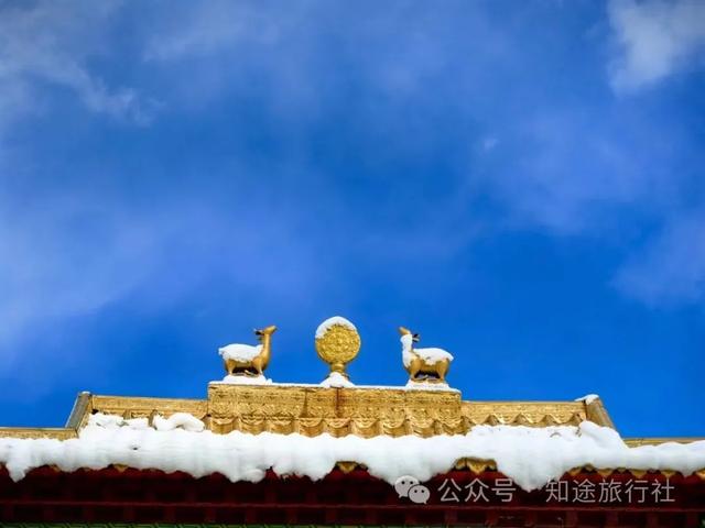 避开人潮，经典川西秋色10天行，人生必须要有的一场旅行！