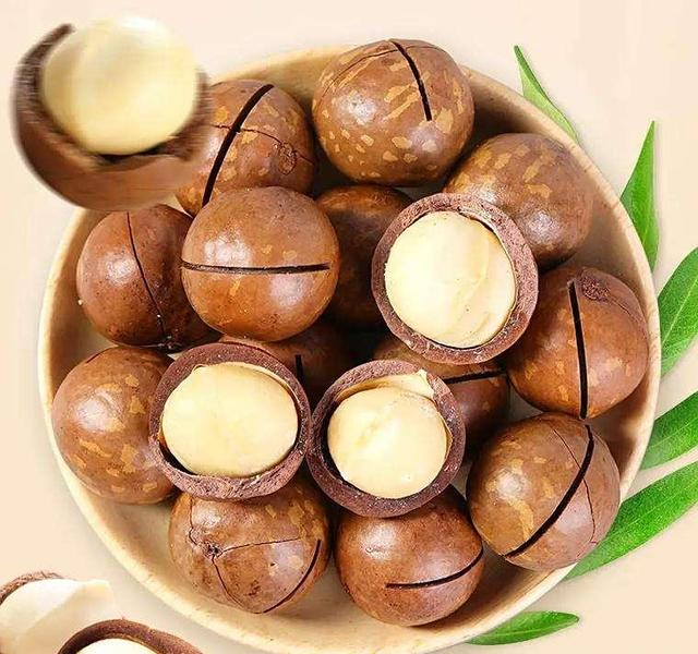 狗狗不能吃的 10 种食物！喂错一口可能进医院
