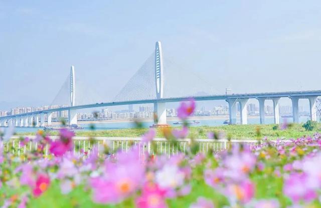 秋日限定！速来围观肇庆的绝美风光~