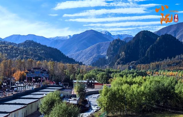 【小陇画报·434期】太子山：深秋画卷与初雪的浪漫邂逅