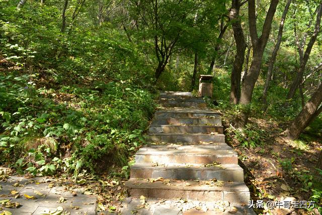 河北百草畔（上）：风动孤石悬险韵，蚁巡深岭蕴生机