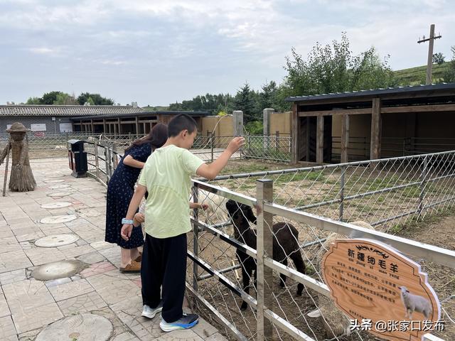 在尚义山野间邂逅一场清凉之旅