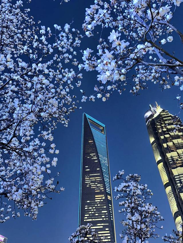 国内最震撼的6大峡湾，去过一半算见过世面，全去过眼界大开！