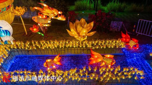 “夜游”江镜！花灯、垛田、黑脸琵鹭……邂逅“绿富美”田园风！