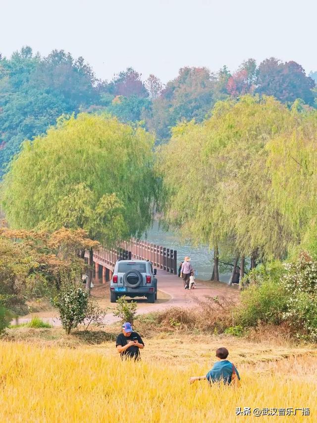 武汉城市漫游攻略