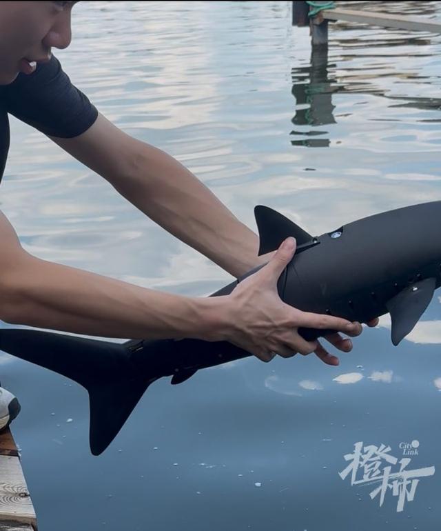 杭州西湖现仿生鲨鱼