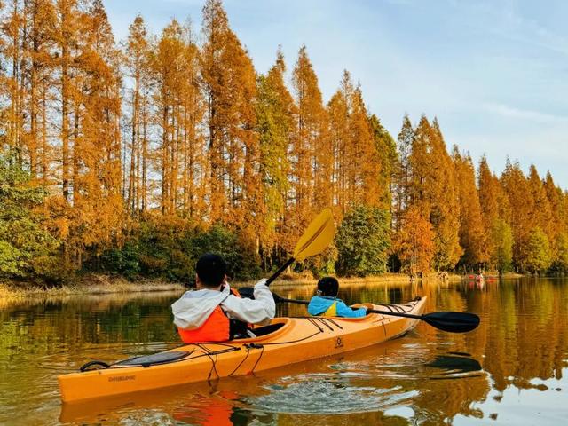 4个点位已公布！太仓人拍照请抓紧