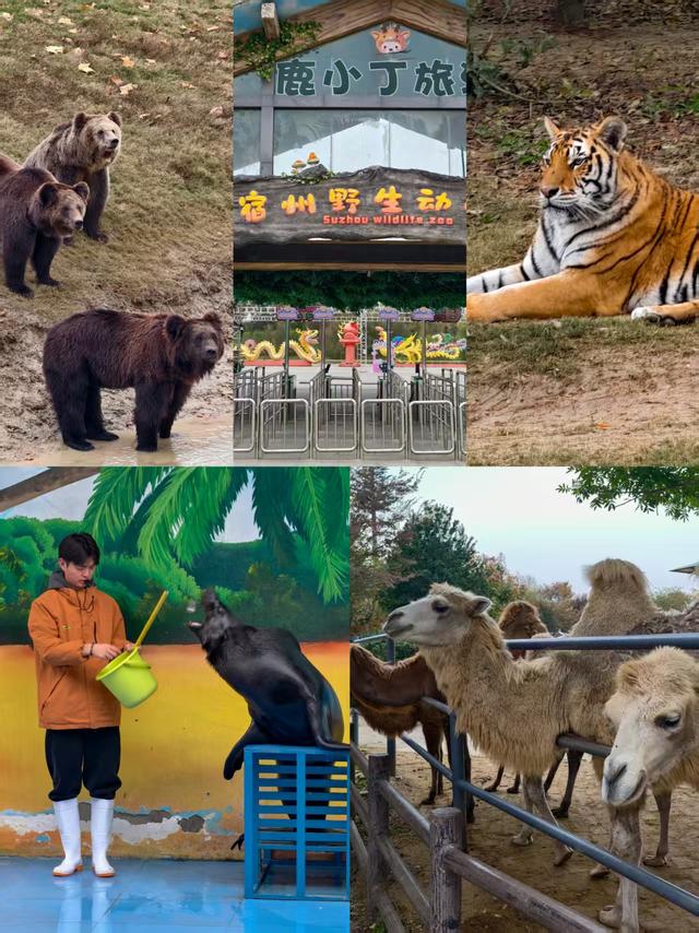 皖北漫记：在青山与古城间，寻一场舌尖的艳遇