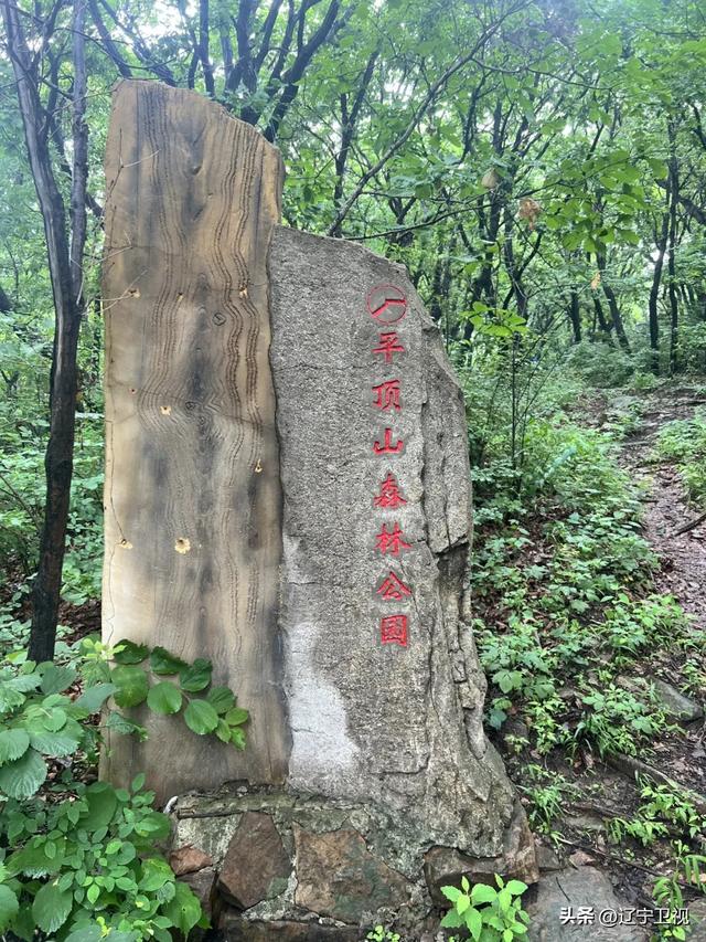 夏日限定！辽宁本溪避暑路线推荐，25℃的清凉可太治愈了~（市内版）