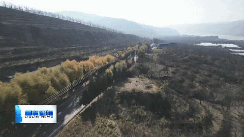 黄河一号旅游公路柳林段：“彩色丝带”绕山川 黄河林海共绘生态画卷