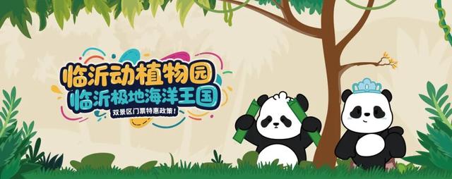 临沂首届熊猫文化节将于8月2日开幕，届时大熊猫“苏星”“冰晶”将与广大游客见面