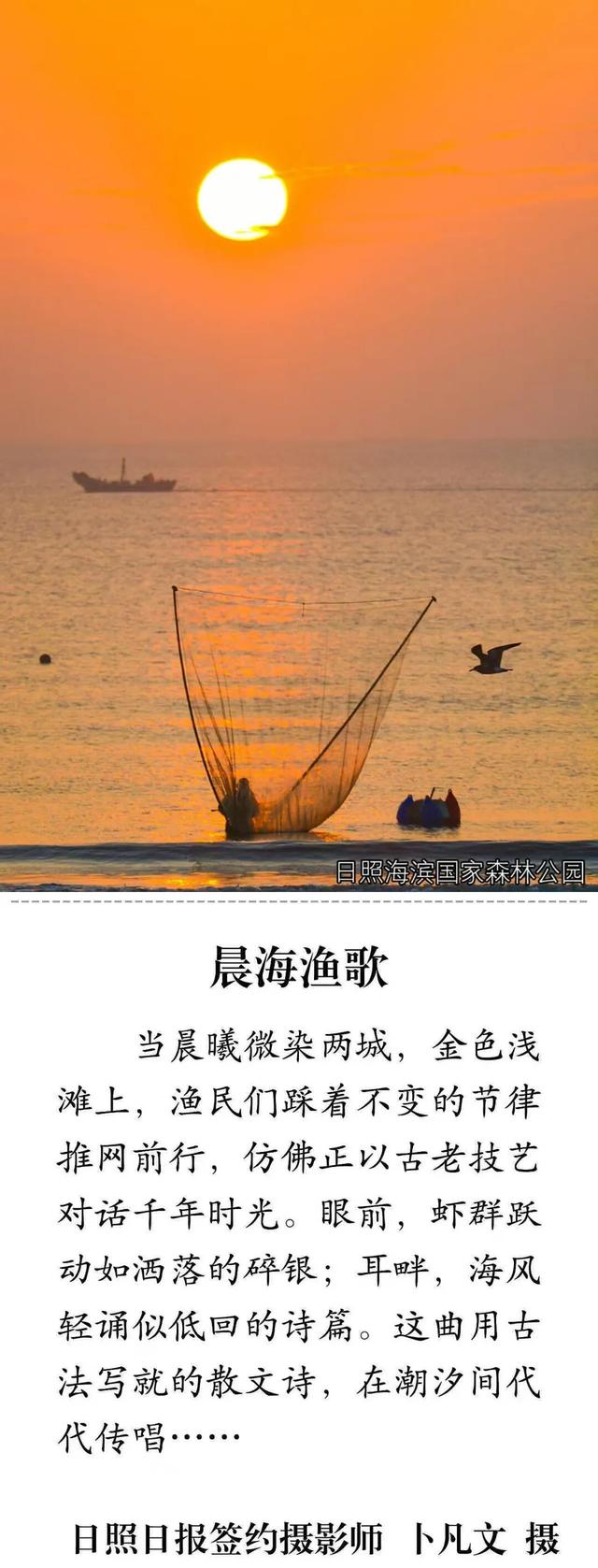 向日照！出发！