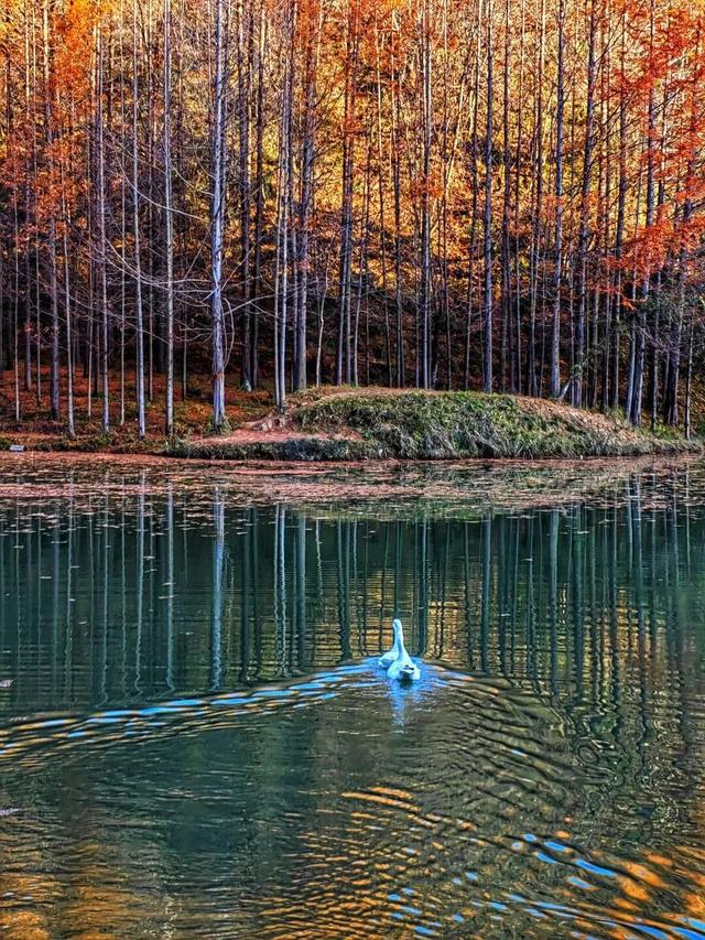 两当冬韵， “氧”心秘境