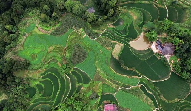 地名里的重庆 | 涪陵青羊镇：羊迹刻石壁，东坡留传说