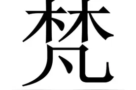 “梵”原来不读fán，“梵”是什么意思呢，梵蒂冈在哪儿呢？图片