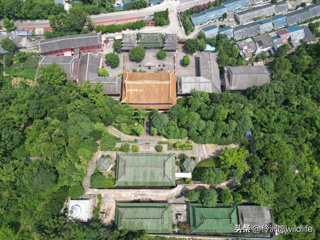 成都徒步（68）·彭州篇⑮佛山古寺&镇国寺宝塔