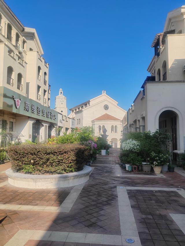 紫云公园:光阴与自然的交响