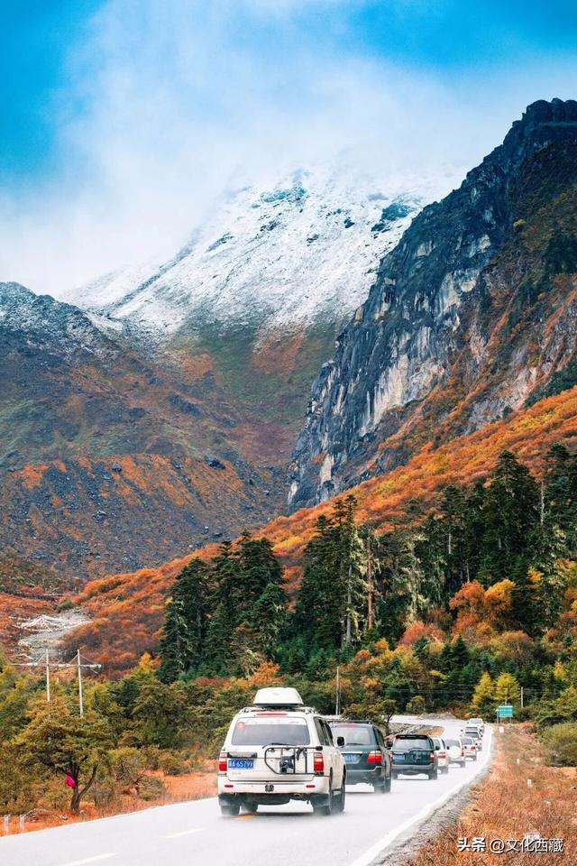 这几年最大的教训，想去西藏得趁早！
