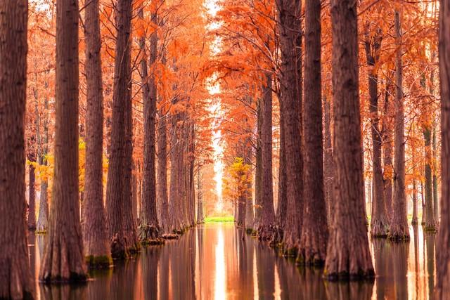 长沙私藏的五个红叶仙境，拍摄到最后一个美到词穷！