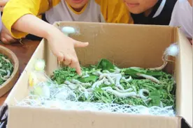 一年卖出1亿条虫！迷倒全国“10后”的小生意，有人年入千万图片