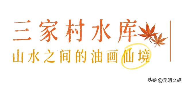 初冬氛围感出片计划,走起!昆明这份打卡攻略速速收藏→