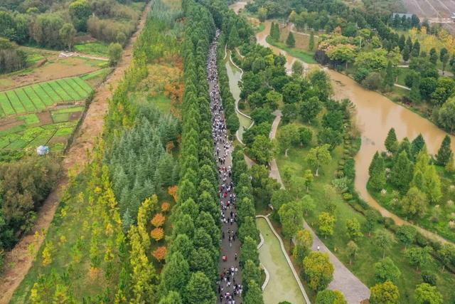 2000余人齐聚弥勒这里！太嗨了～