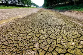 重旱有多严重？农户：几十年没遇到如此严重的旱情了图片