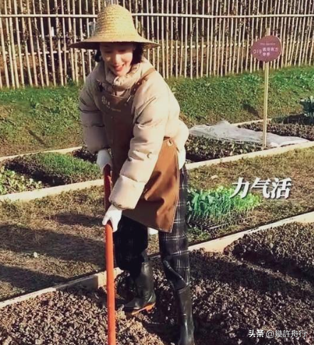 私生活混乱遭央视开除？被传与小尼结婚的她，现状如何？