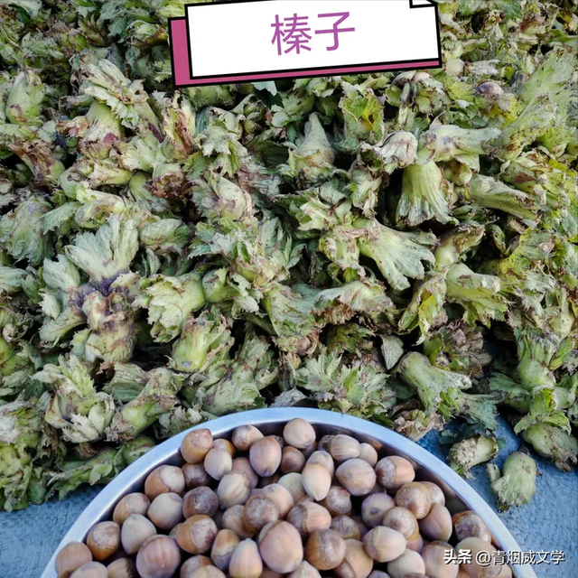 七月闲云行：沿海行记事
