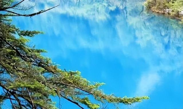 【美丽四川】九寨归来不看水‖管恒庆